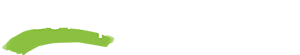 CompIntelligence_Logo-WhiteandGreen copy
